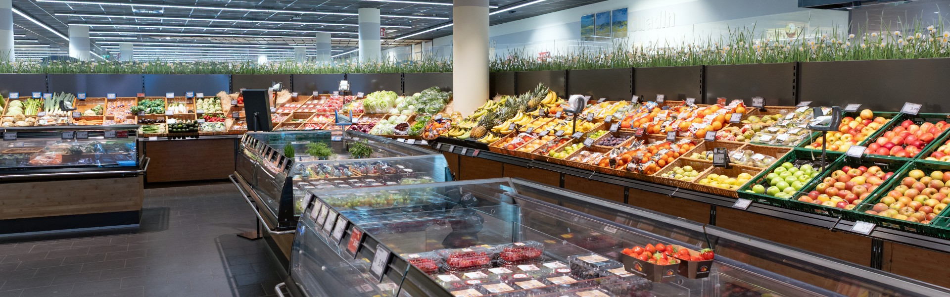 Obst Gemüse in Freyung groß Auswahl An verschiedenem Obst, wie Äpfeln, Beeren, Orangen und vielem mehr
